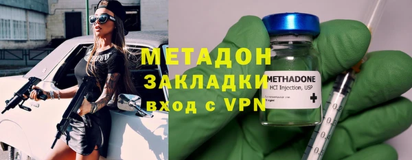стаф Алзамай