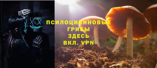 не бодяженный Алексин