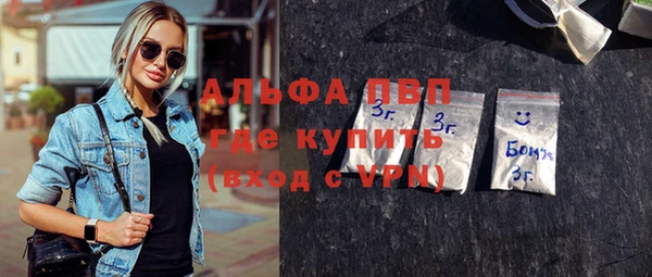 стаф Алзамай