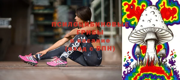 не бодяженный Алексин